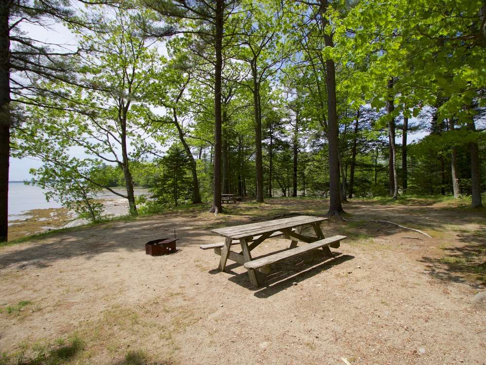 Interactive Campground Map Middle Bay Wolfe's Neck Oceanfront Camping