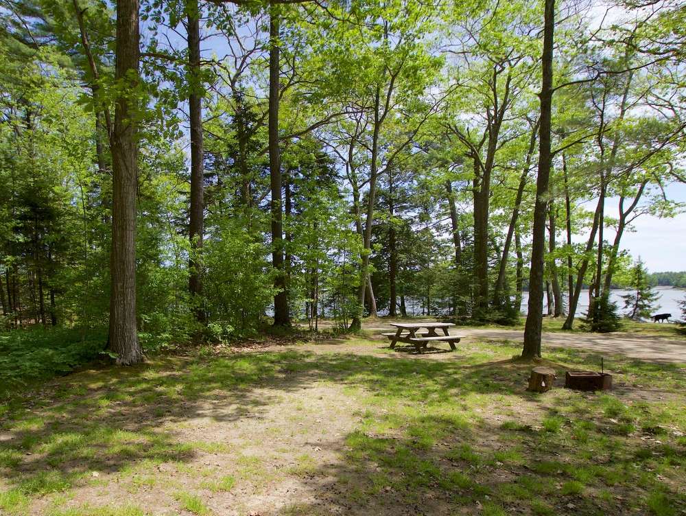 Interactive Campground Map Middle Bay Wolfe's Neck Oceanfront Camping