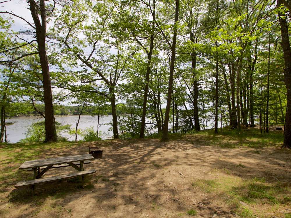 Interactive Campground Map Middle Bay Wolfe's Neck Oceanfront Camping