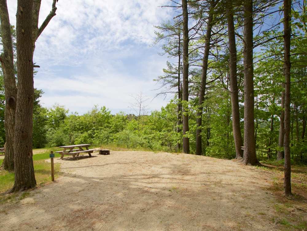 Interactive Campground Map East Bay Wolfe's Neck Oceanfront Camping