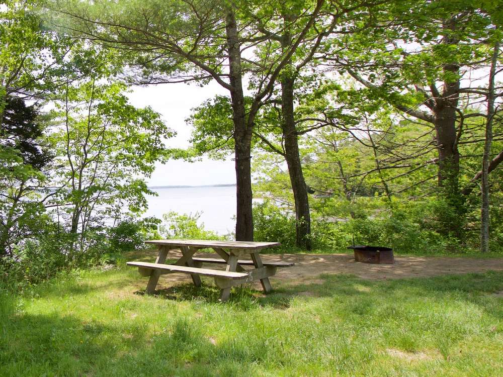 Interactive Campground Map East Bay Wolfe's Neck Oceanfront Camping