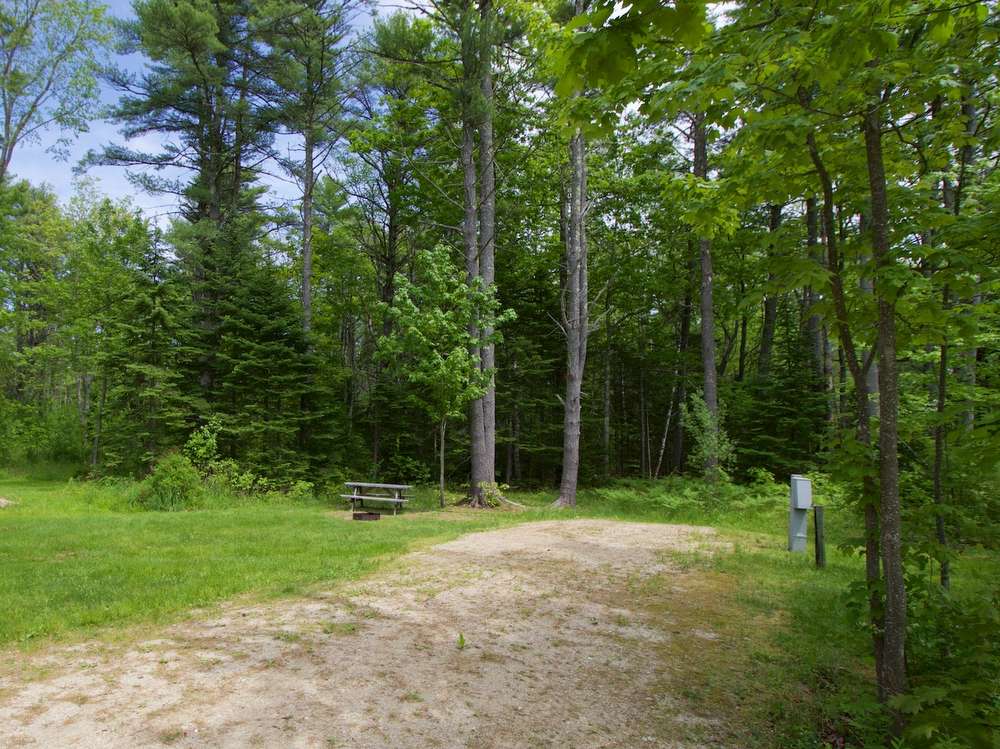 Interactive Campground Map East Bay Wolfe's Neck Oceanfront Camping