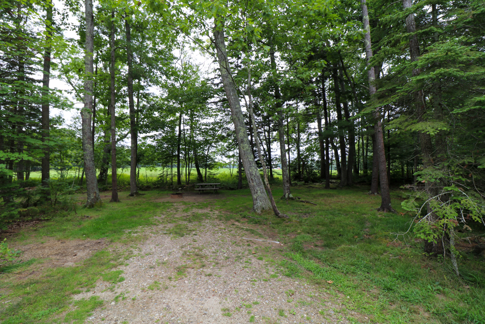 Interactive Campground Map East Bay Wolfe's Neck Oceanfront Camping