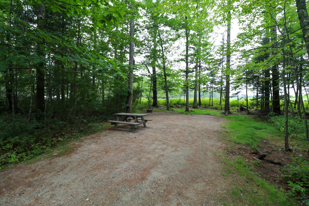 Interactive Campground Map East Bay Wolfe's Neck Oceanfront Camping