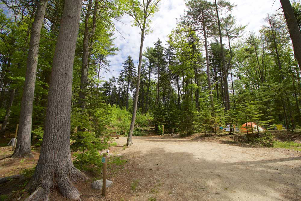 Wolfe's Neck Center Camping Site 113